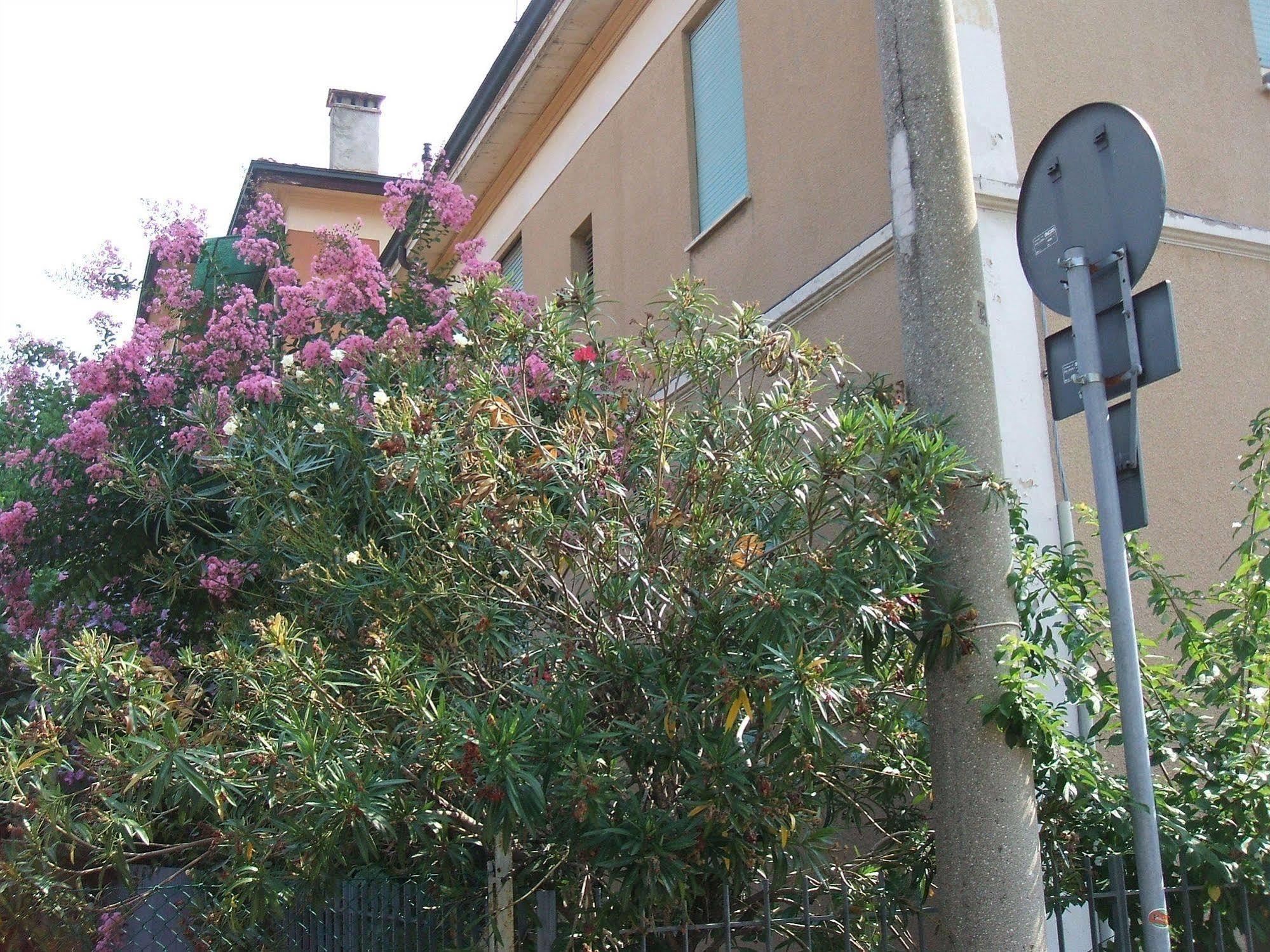 B&B Accorsi Bolonha Exterior foto